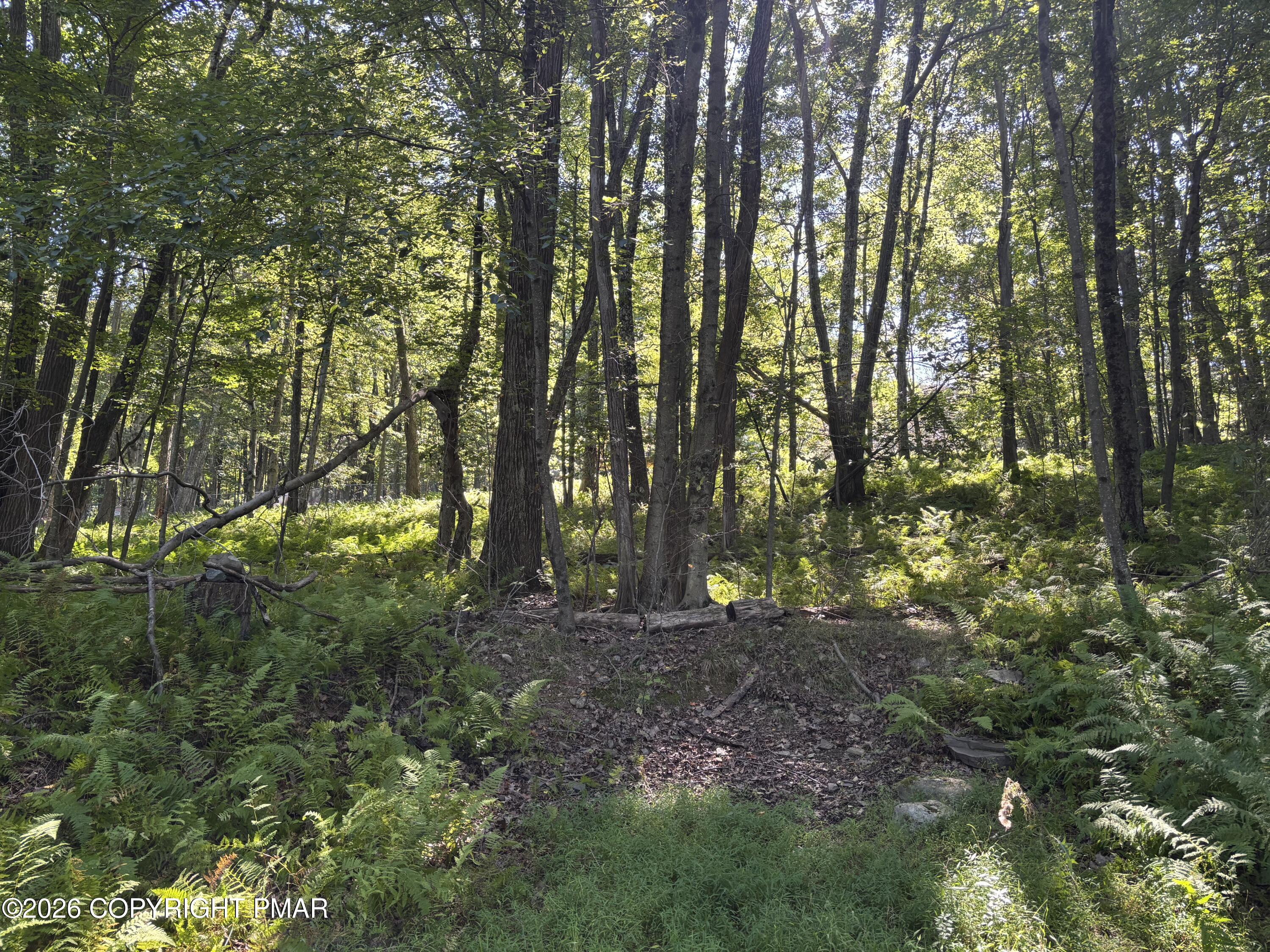 Ski Trail 32 Property Photo 1