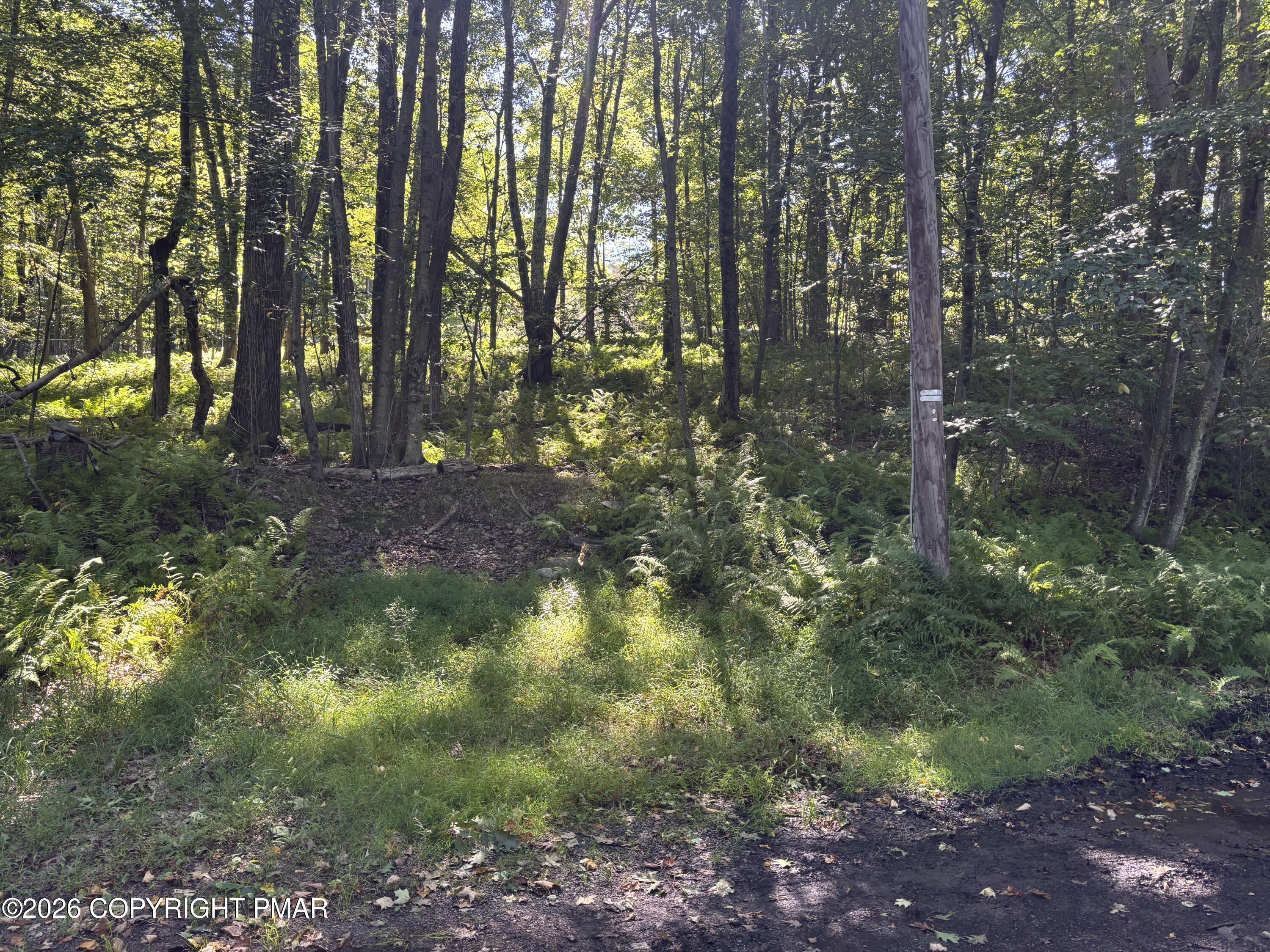 Ski Trail 32 Property Photo 2
