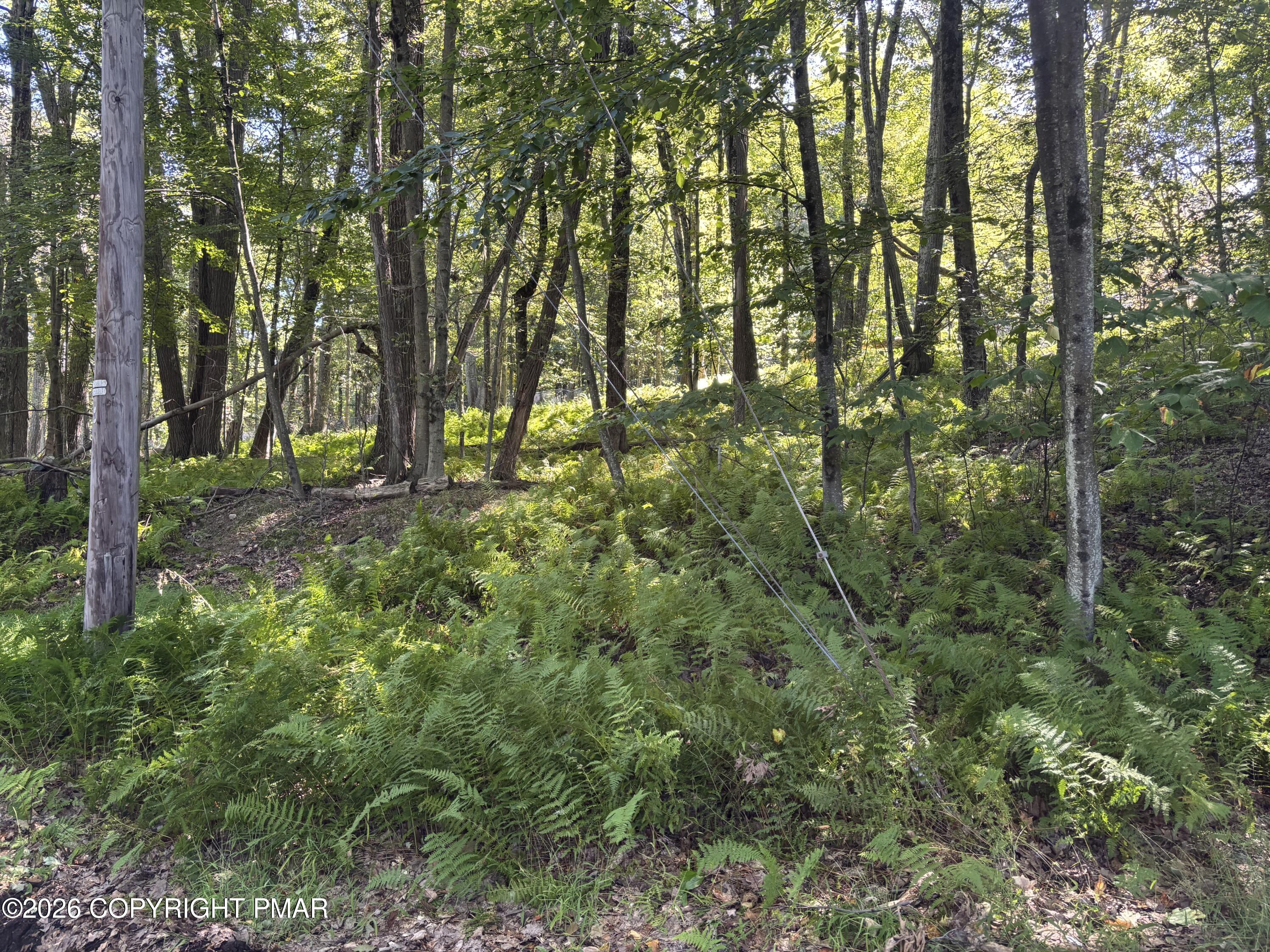Ski Trail 32 Property Photo 3