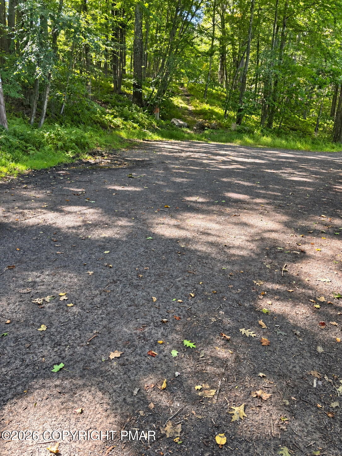 Ski Trail 32 Property Photo 4