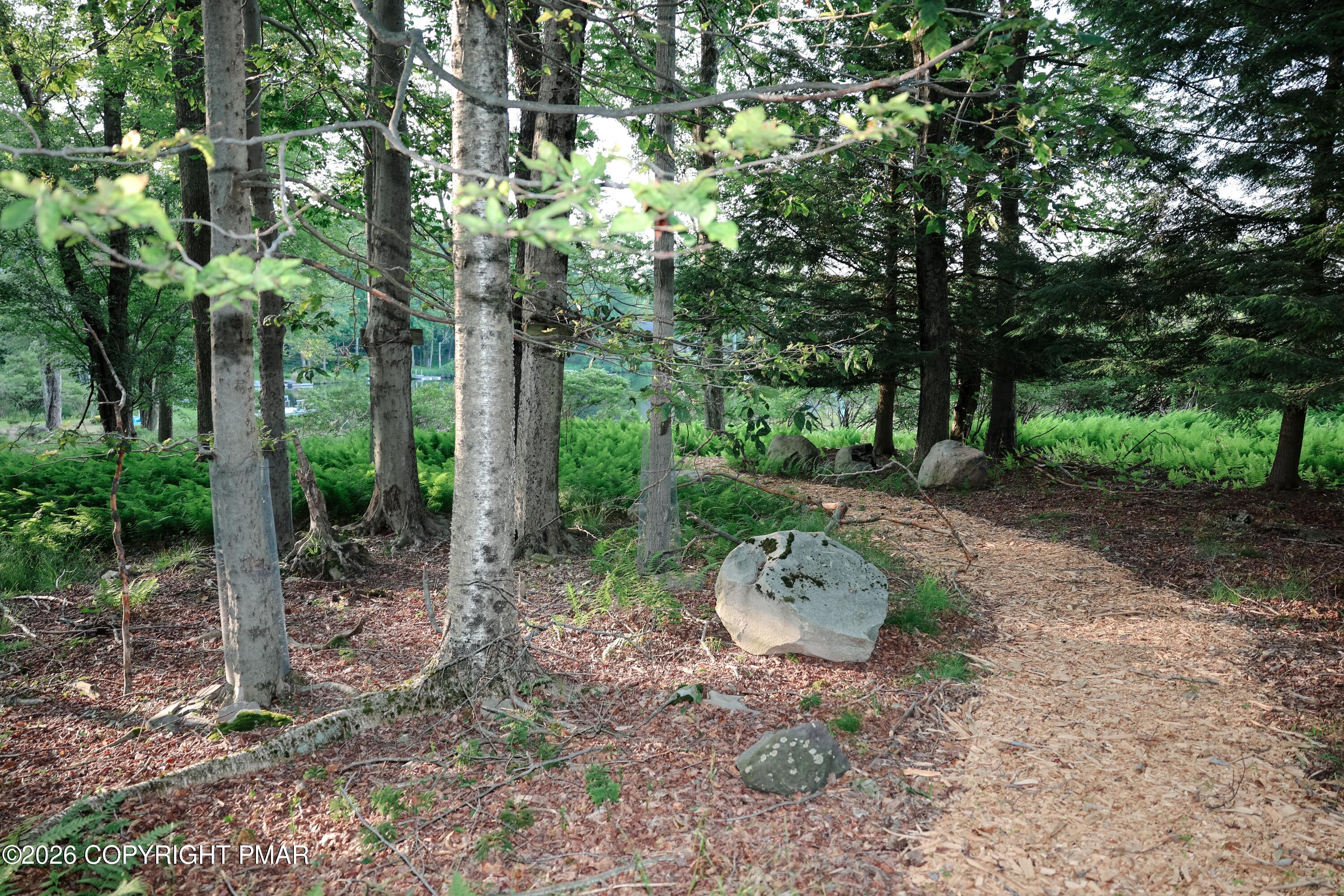 136 Birch Ledge Road Property Photo 39