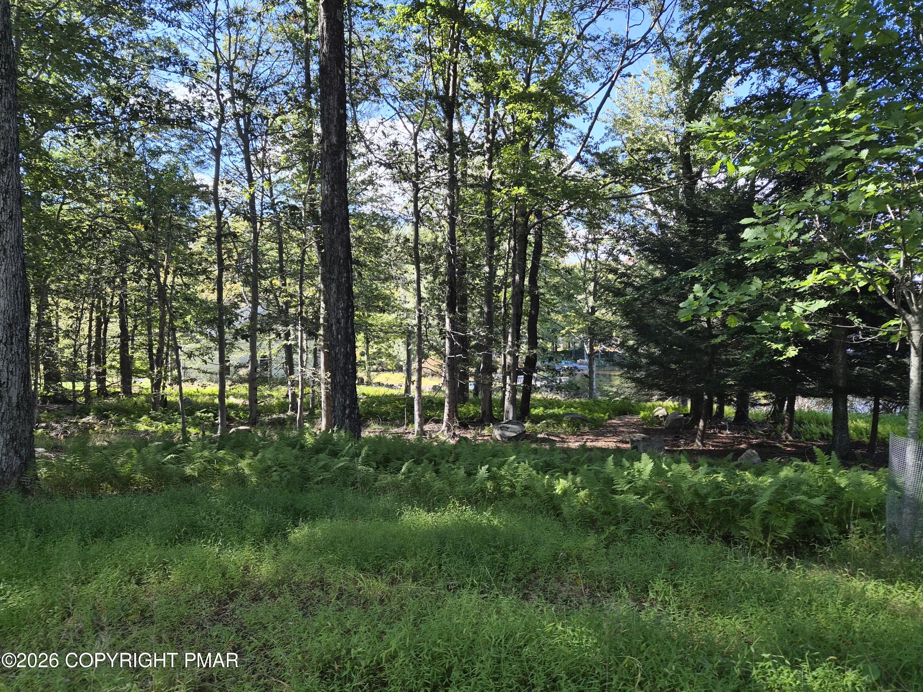 136 Birch Ledge Road Property Photo 44