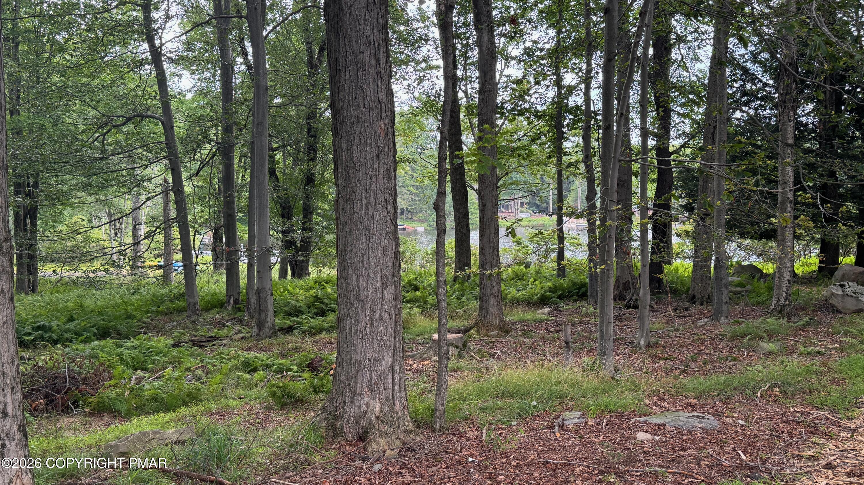136 Birch Ledge Road Property Photo 46