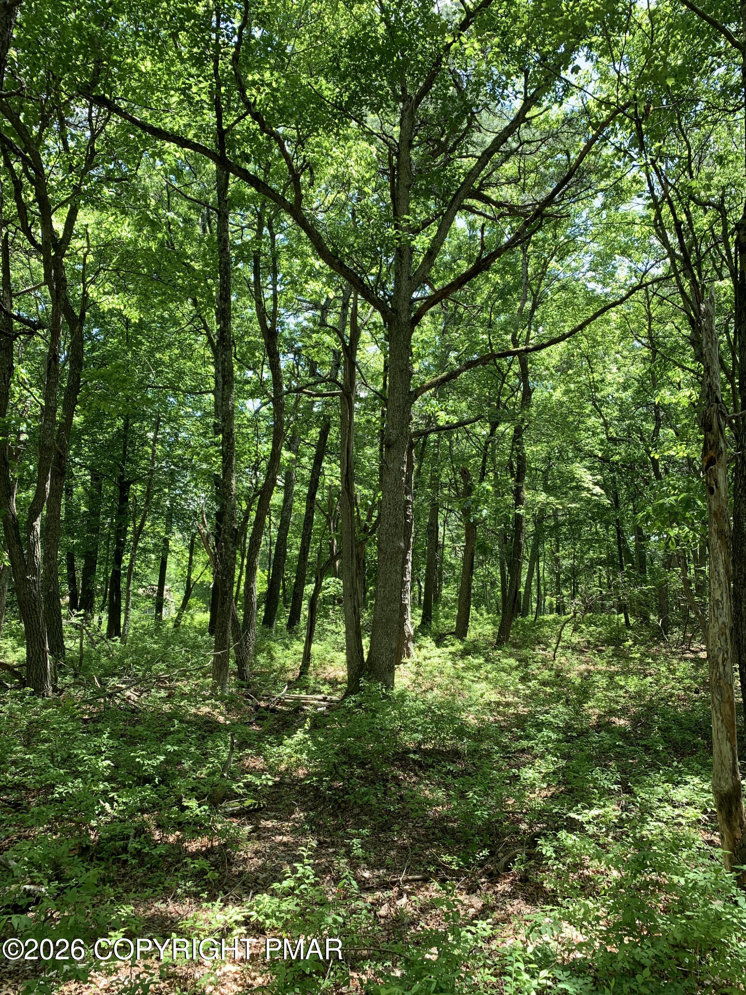 Squirrel Road Property Photo 1