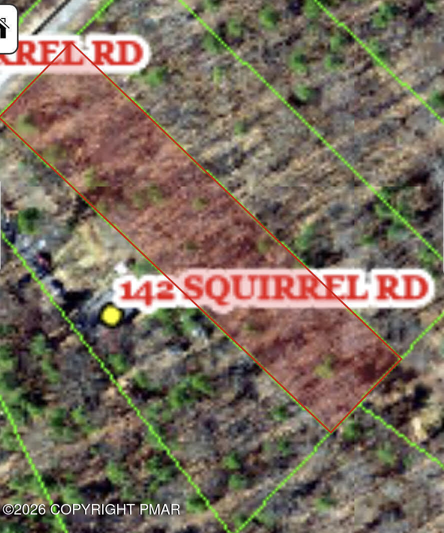 Squirrel Road Property Photo 3