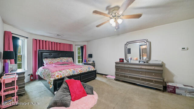 237 Footprint Road Property Photo 20
