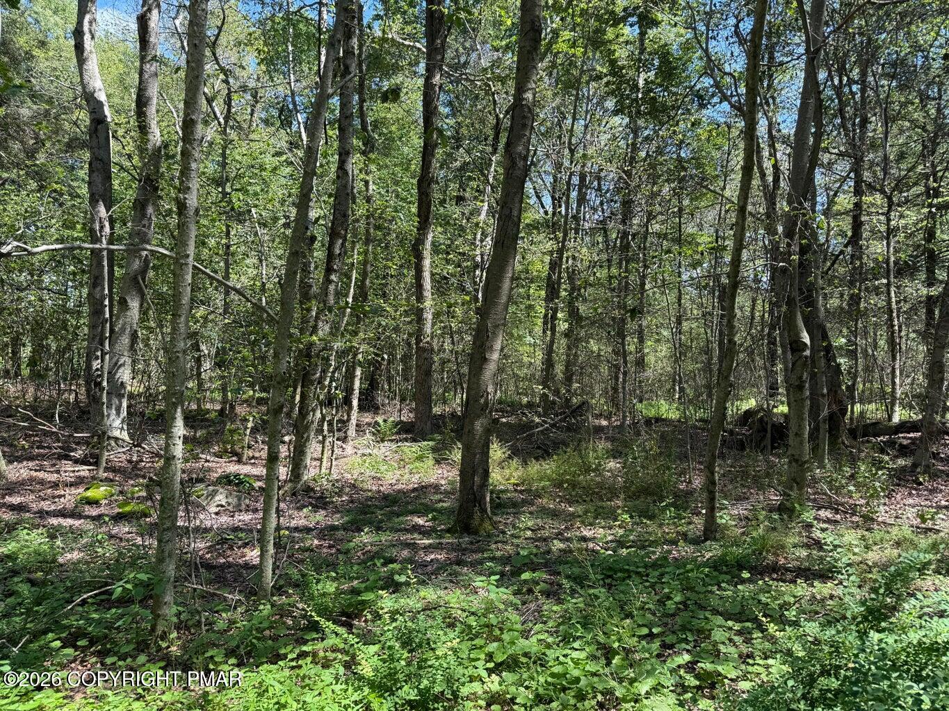20 Wildbrook Drive Property Photo 1