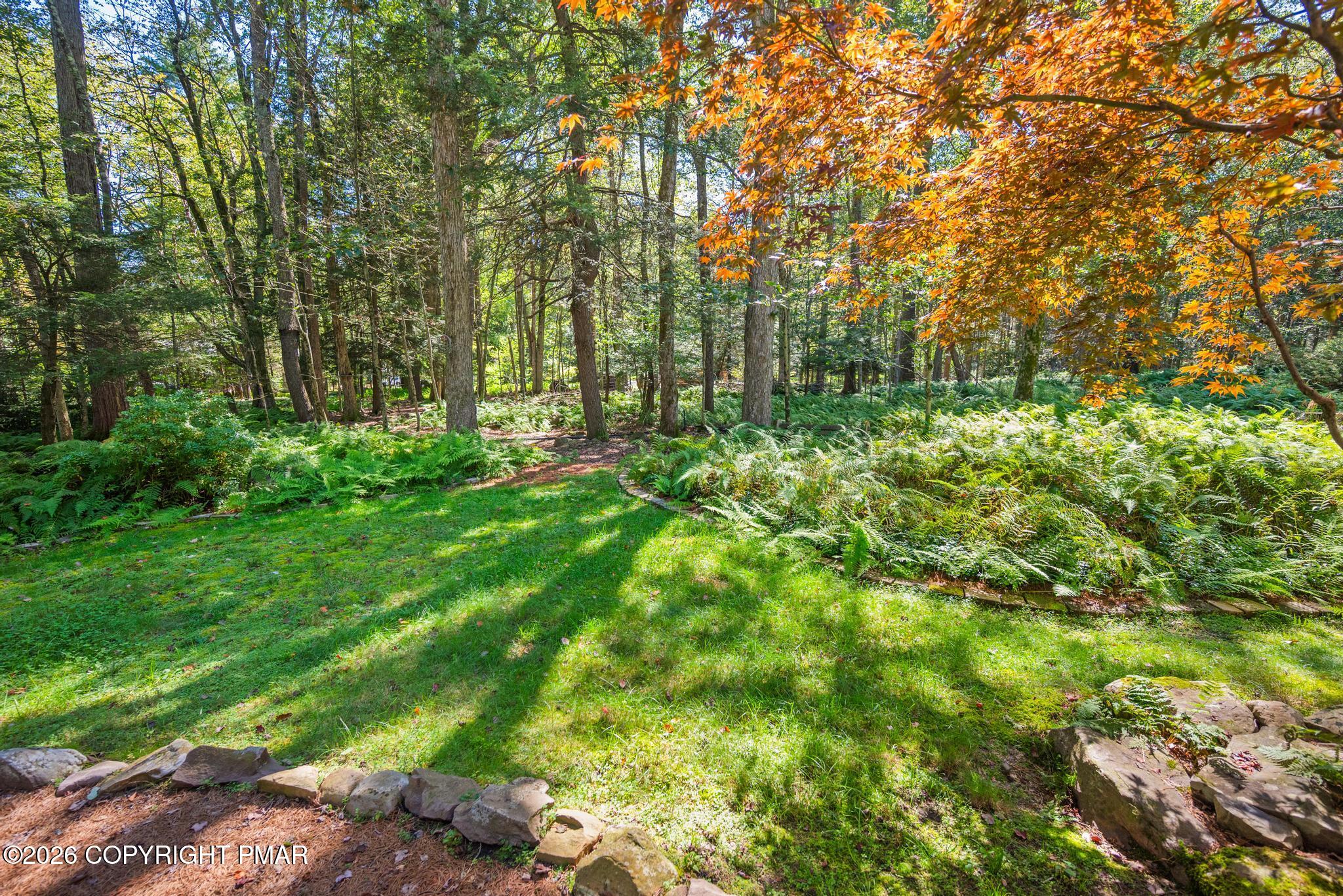 205 Moon Lit Trail Property Photo 40