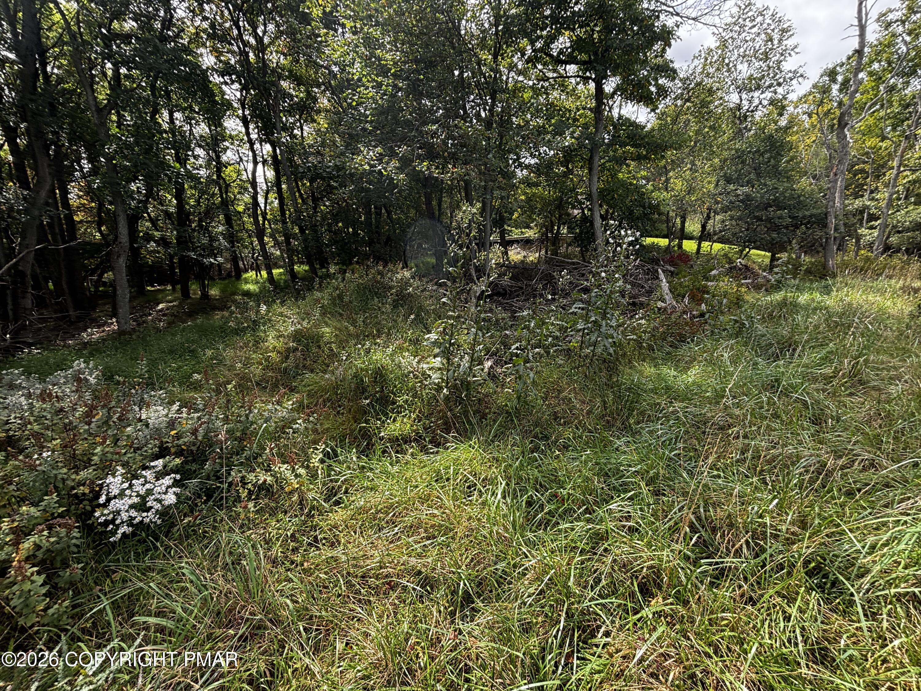 Long Pond Rd, Lot 9507 Sec A Iii Property Photo 4