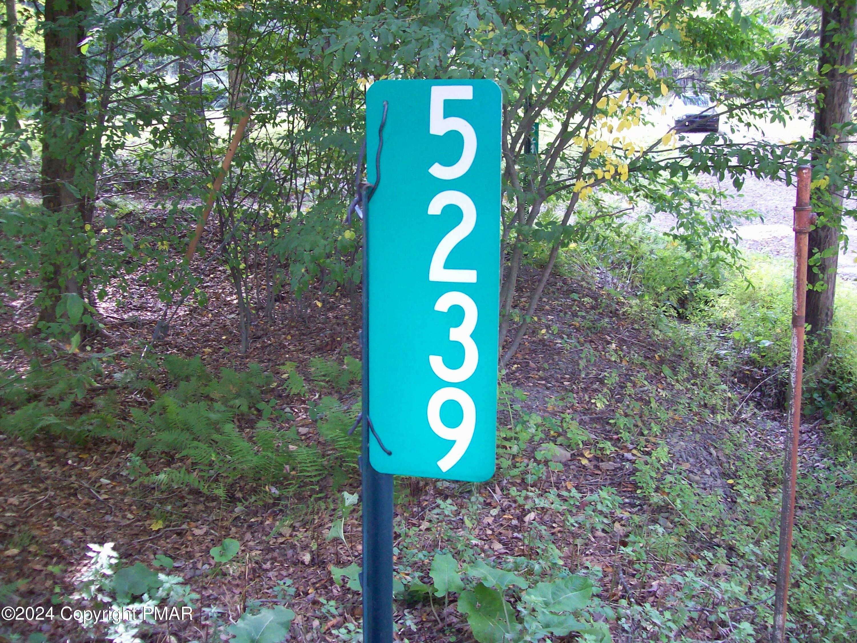 5239 Goldenrod Avenue Property Photo 3