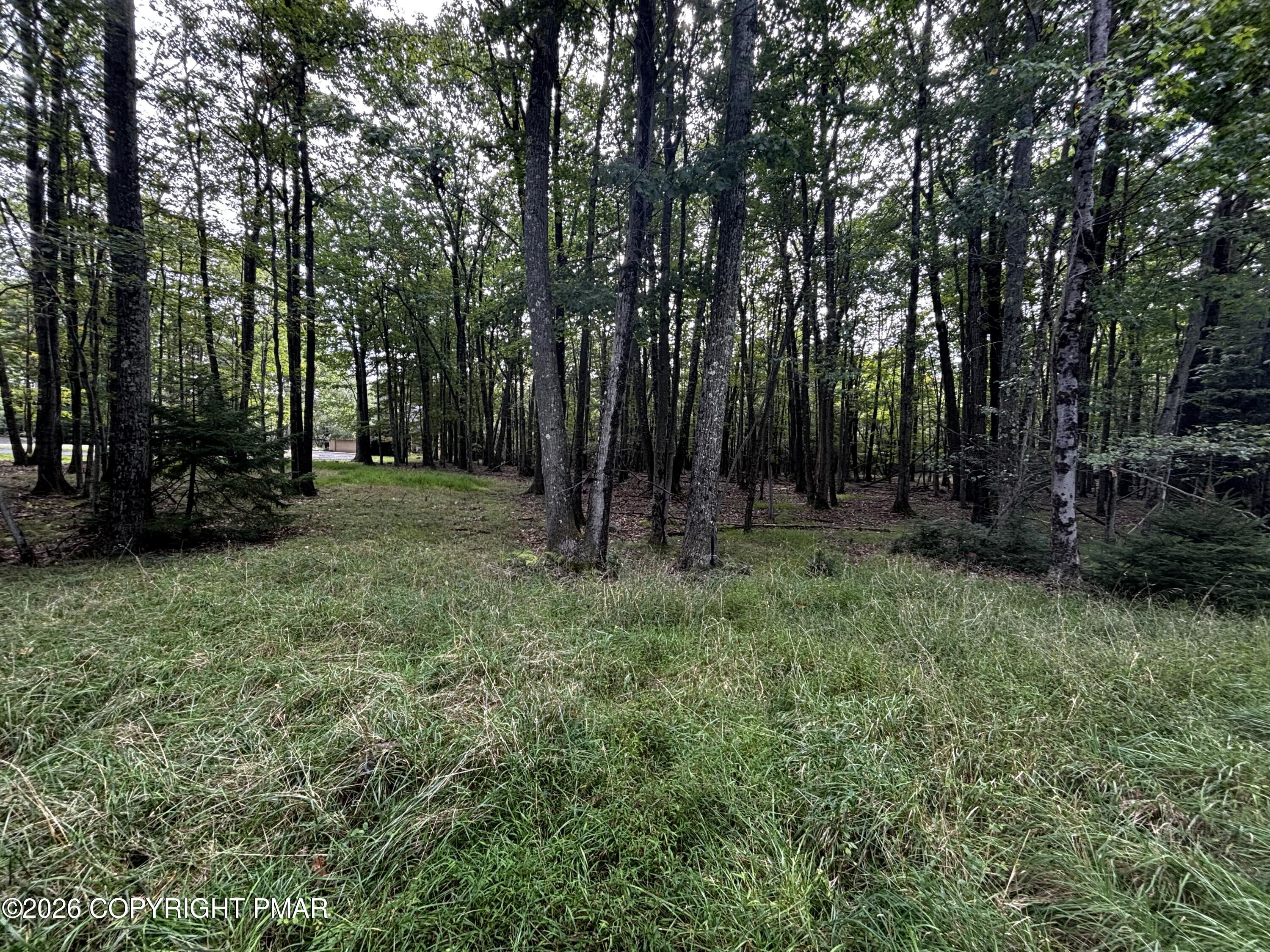 Lr 45024 Property Photo 4
