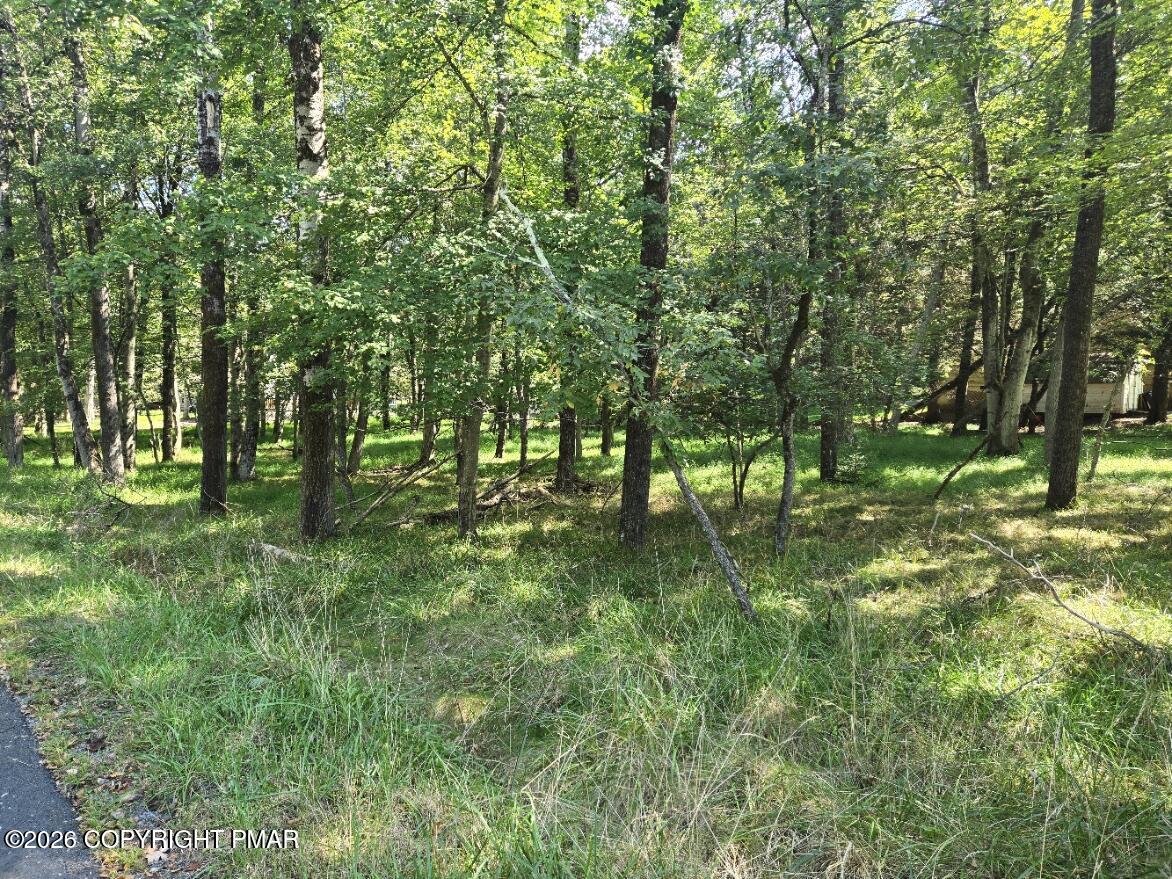 Wintergreen Trail & Longbrook Property Photo 2