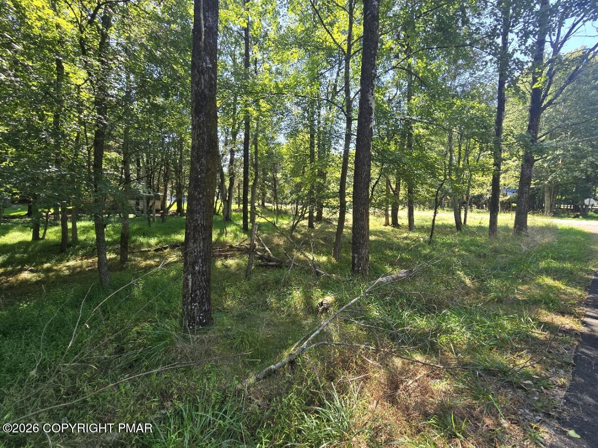 Wintergreen Trail & Longbrook Property Photo 3