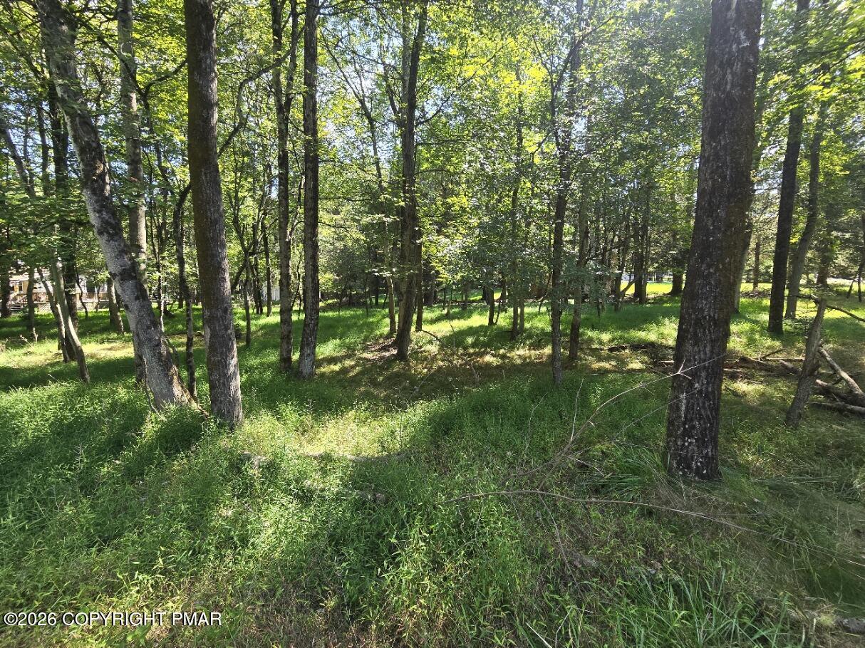 Wintergreen Trail & Longbrook Property Photo 4