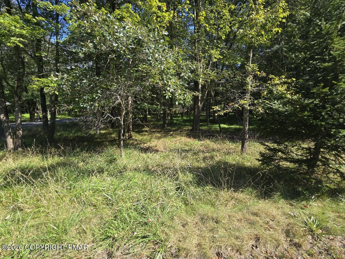 Wintergreen Trail & Longbrook Property Photo 5