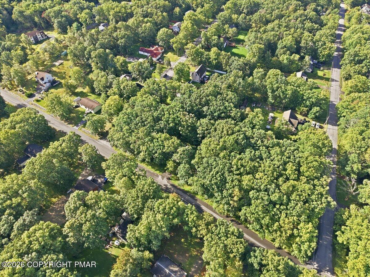 12031 Maplewood Drive Property Photo 52