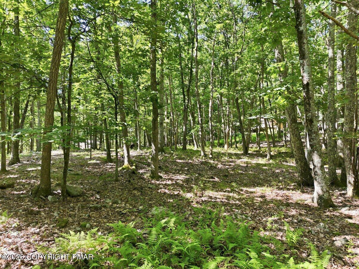 Gingerbread Ln 54 Lane Property Photo 1