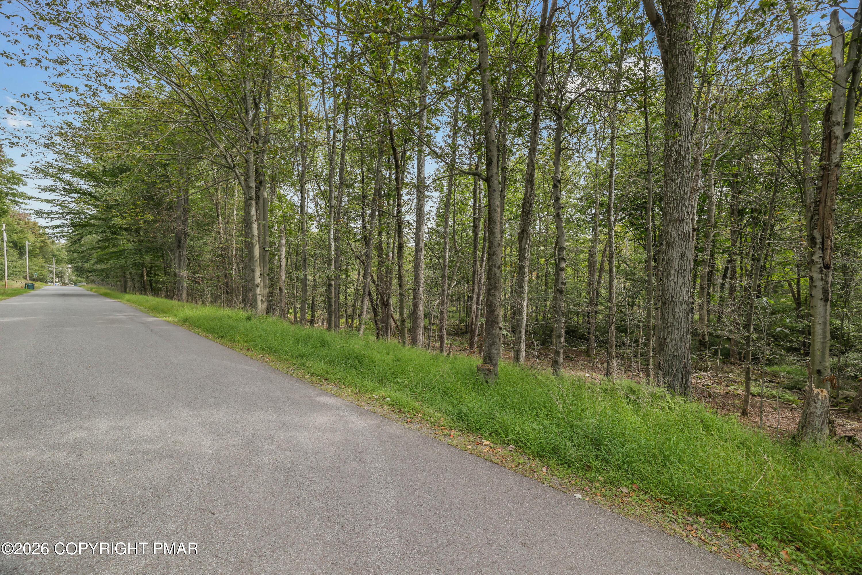 8830 Cloudcrest Drive Property Photo 22