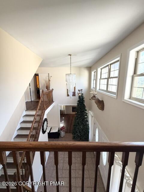 109 Naomi Lane Property Photo 21