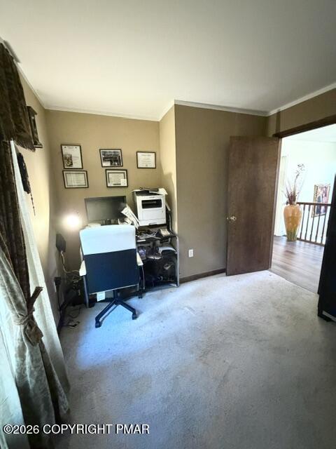109 Naomi Lane Property Photo 39