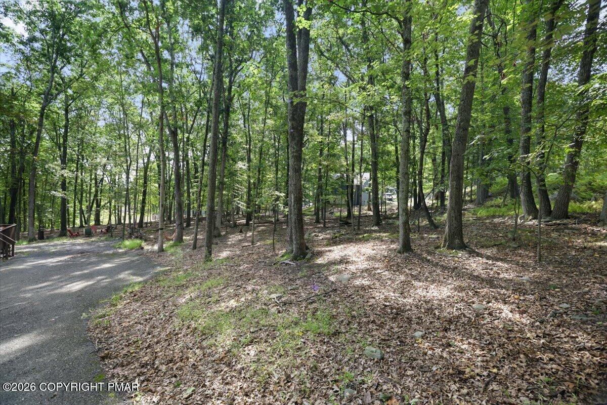 203 Bellingham Drive Property Photo 5