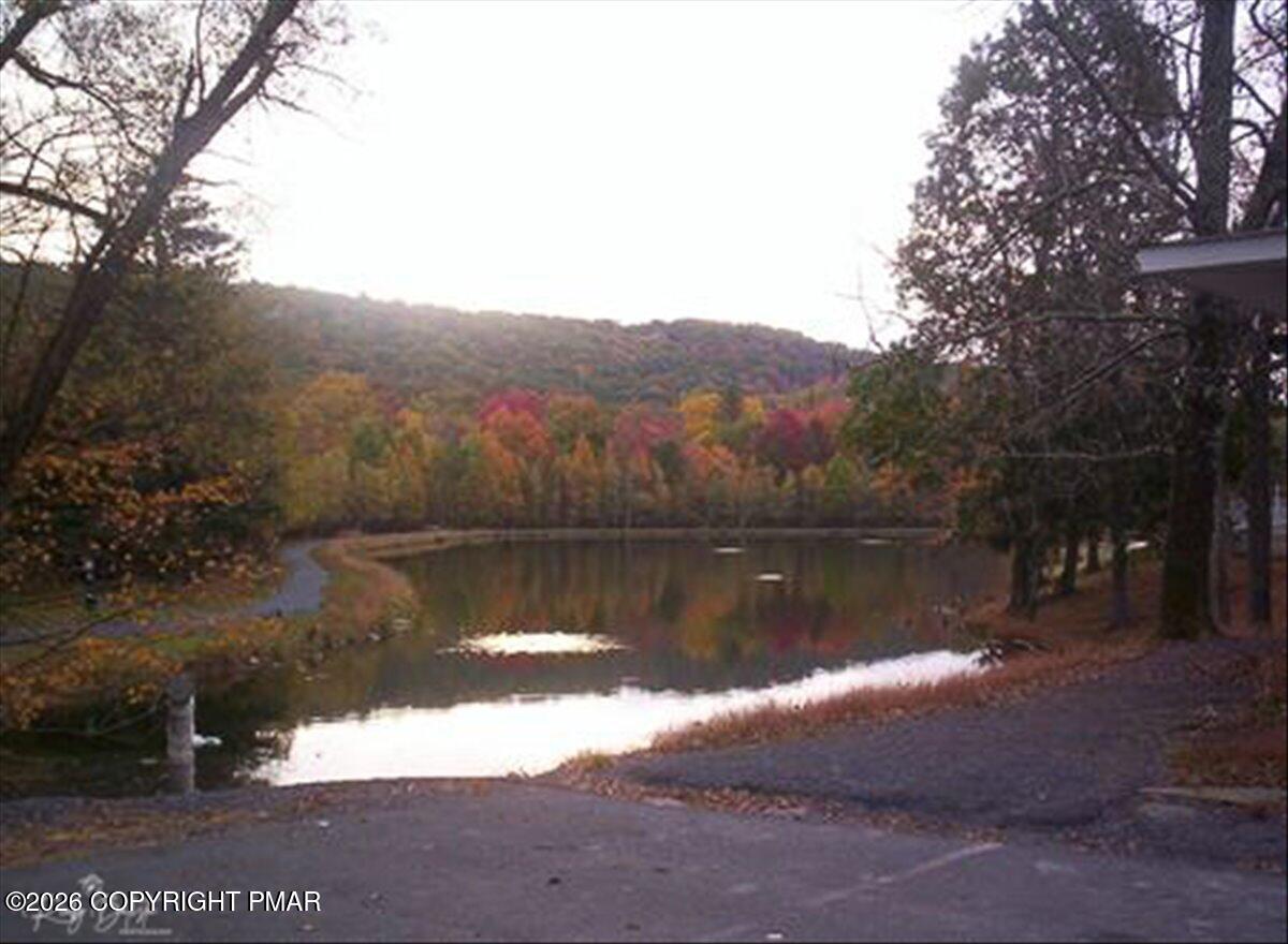 203 Bellingham Drive Property Photo 71
