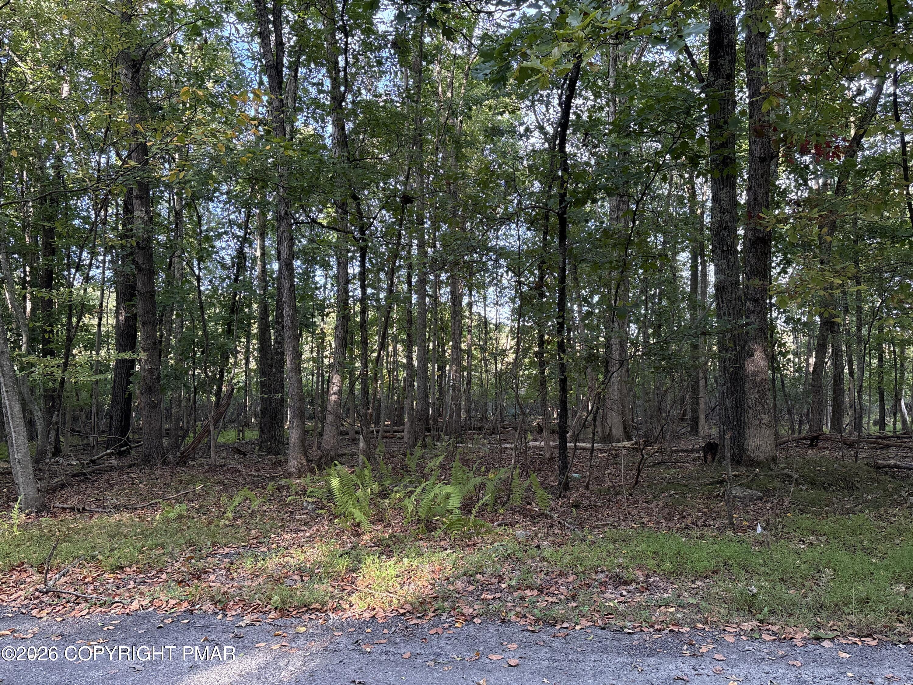 Brown Bear Ct 27 Property Photo 1