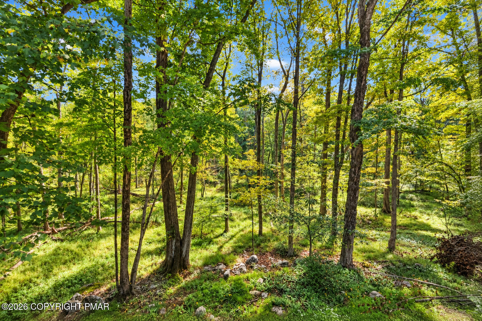 105 Mulberry Lane Property Photo 48