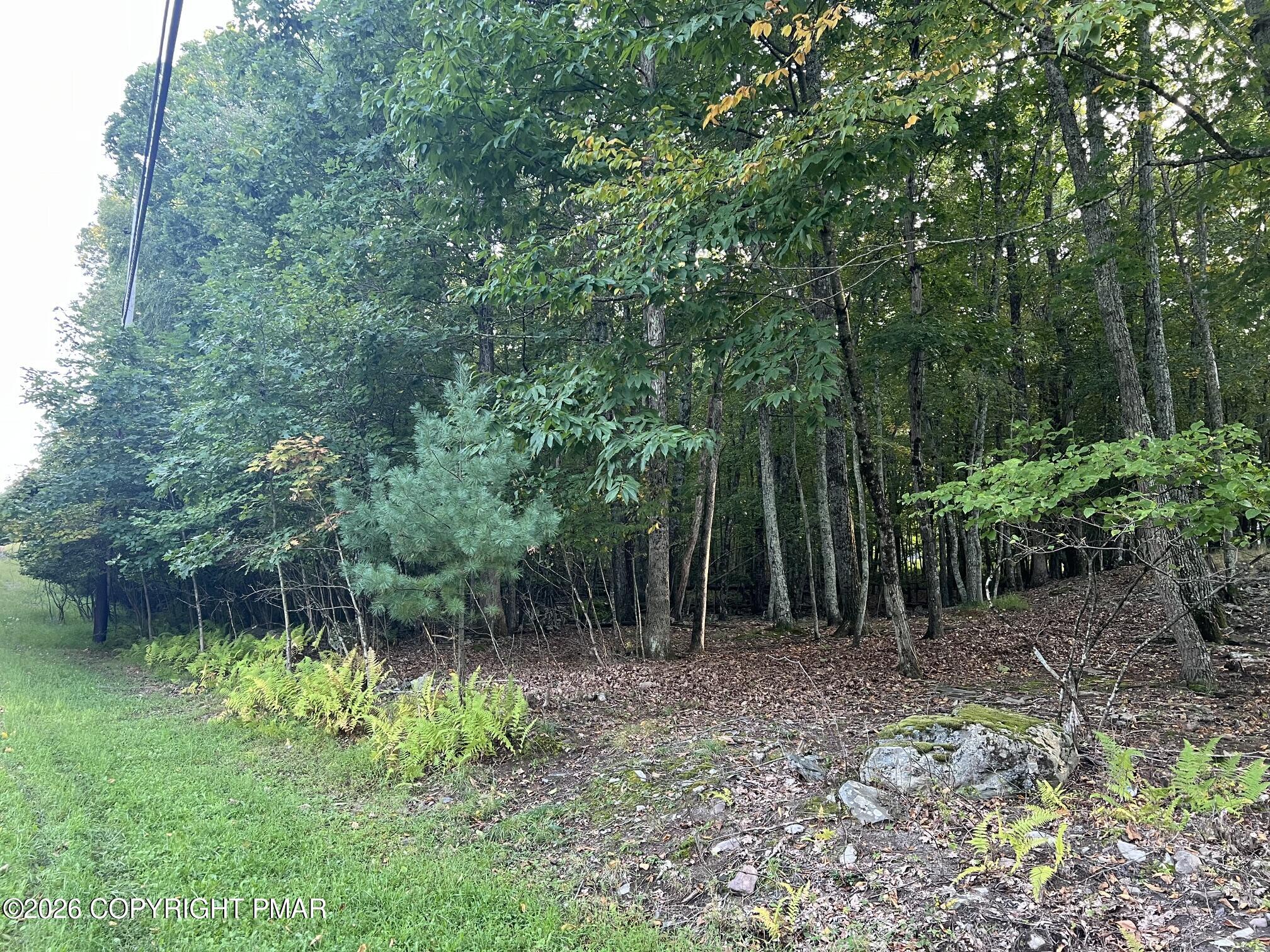 White Dove Dr 48 Property Photo 2