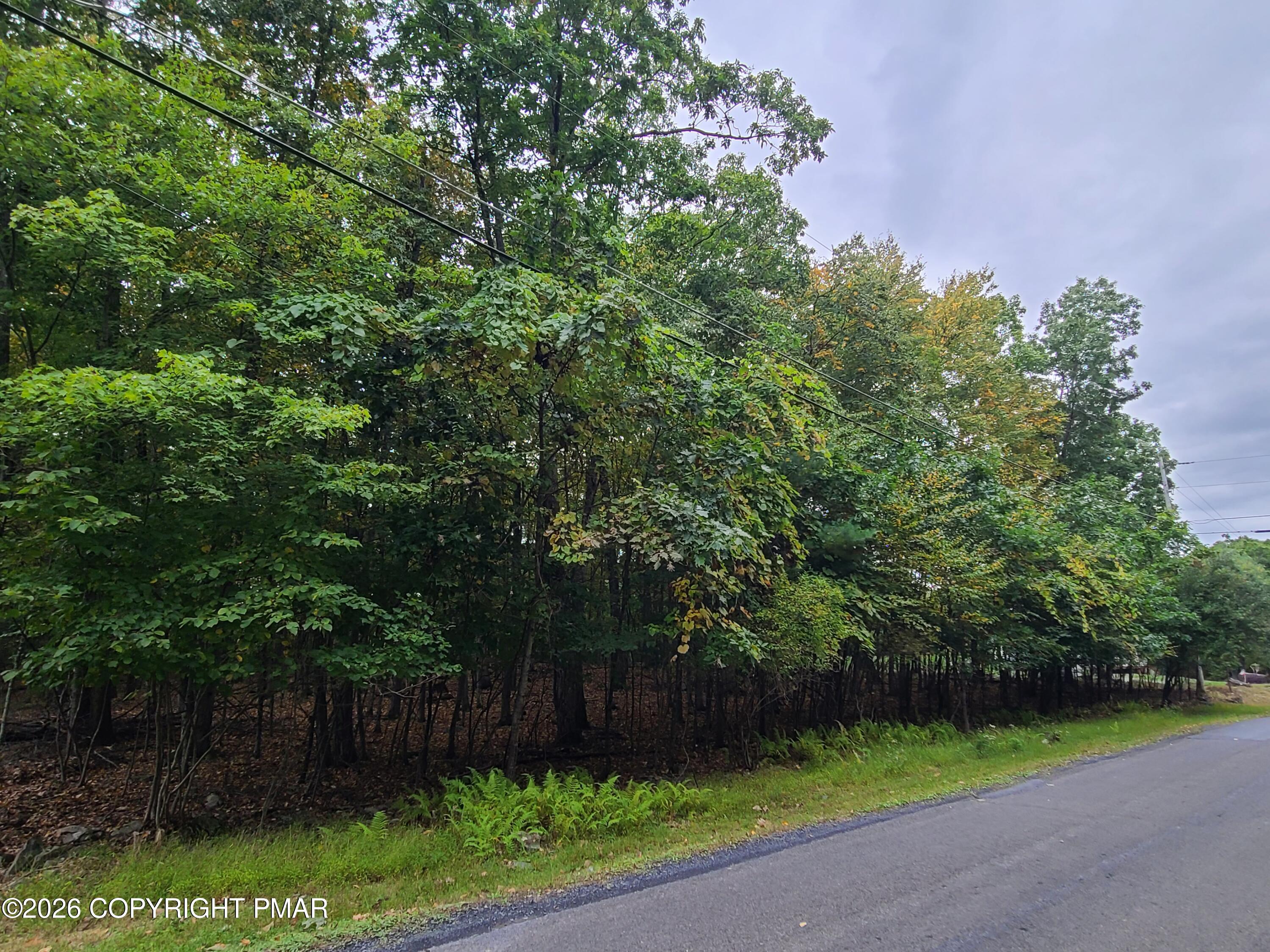 Lot 46 White Dove Road Property Photo 1
