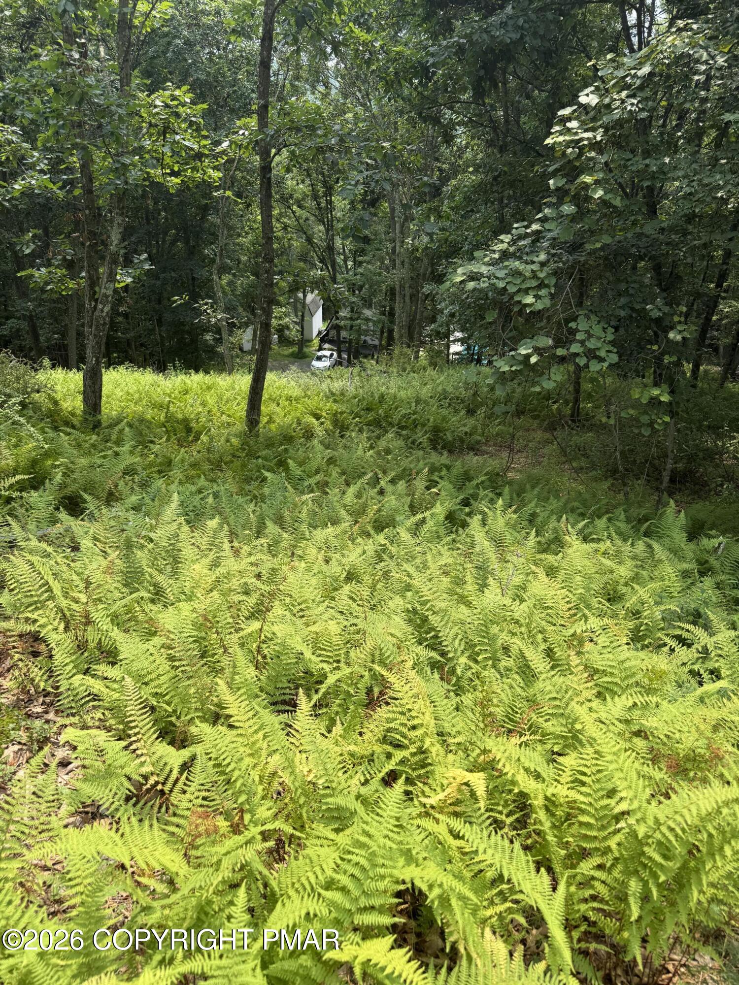 305 Papoose Drive Property Photo 22