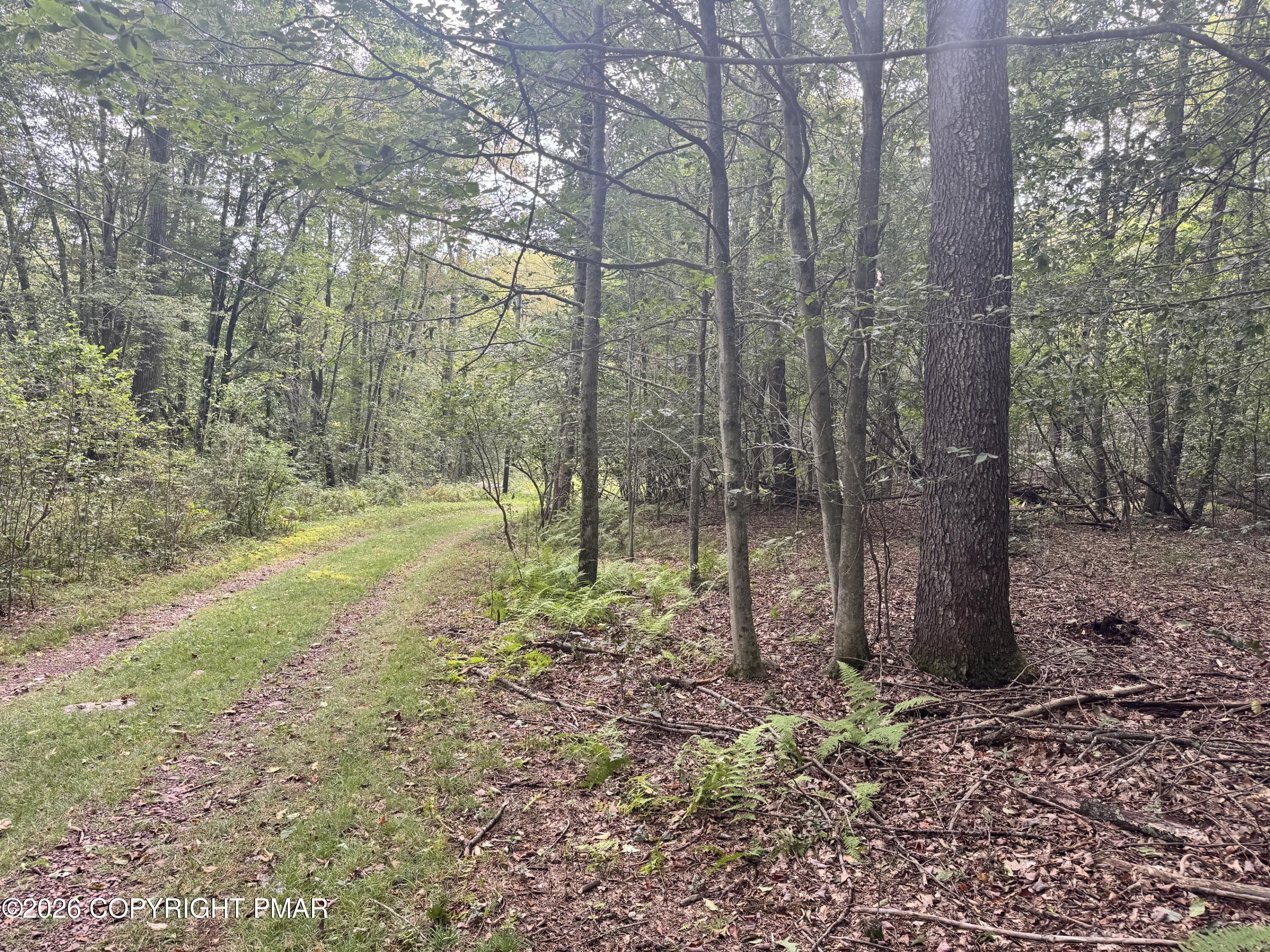 A50 Sage Road Property Photo 5