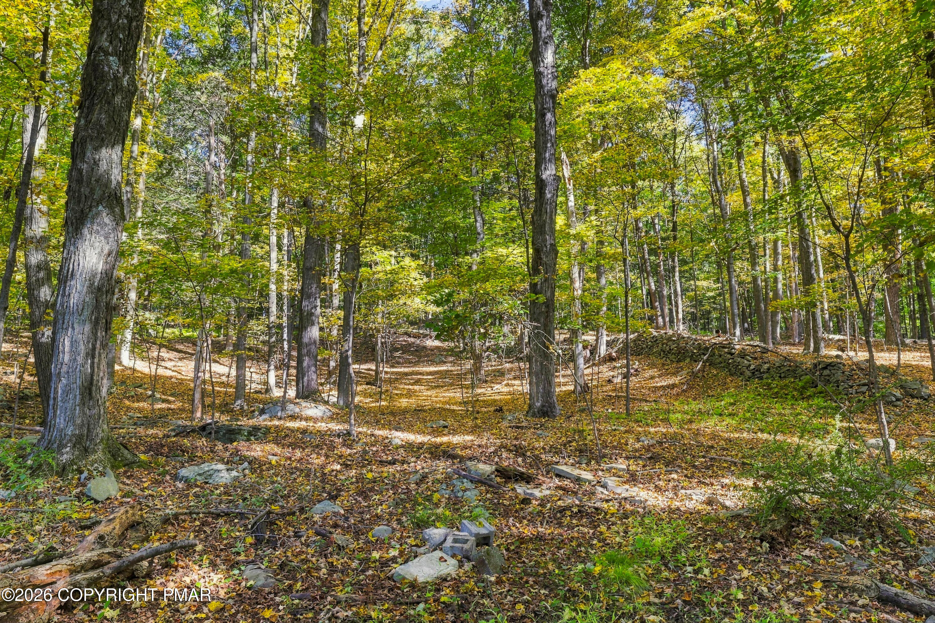 217 Lower Swiftwater Road Property Photo 25