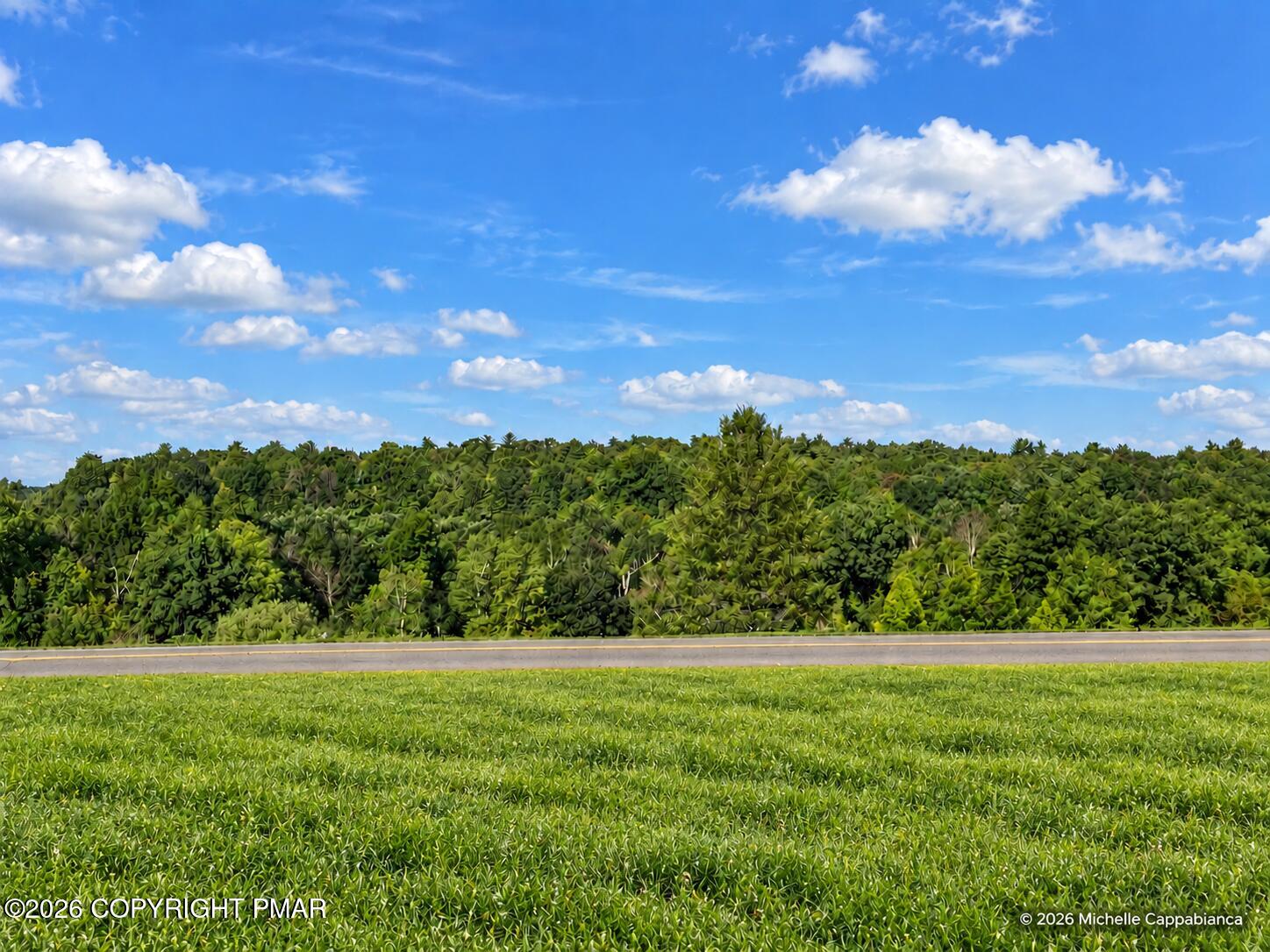 Lot 3 Hty Road, Corner Of Polk Township Road And Hty Road Property Photo 11