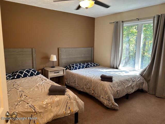2170 Pine Valley Drive Property Photo 18