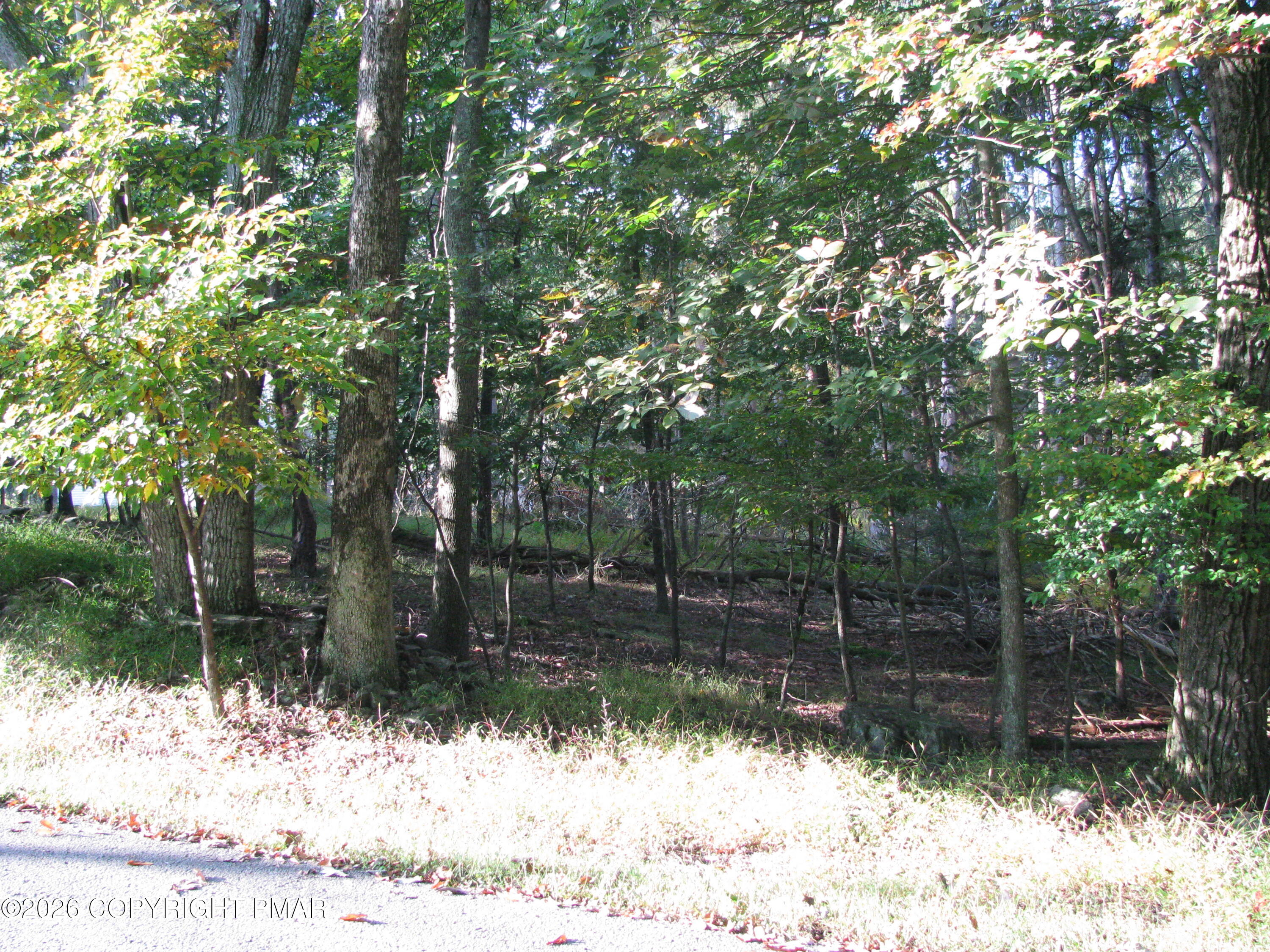 505 Magic Mountain Road Property Photo 1
