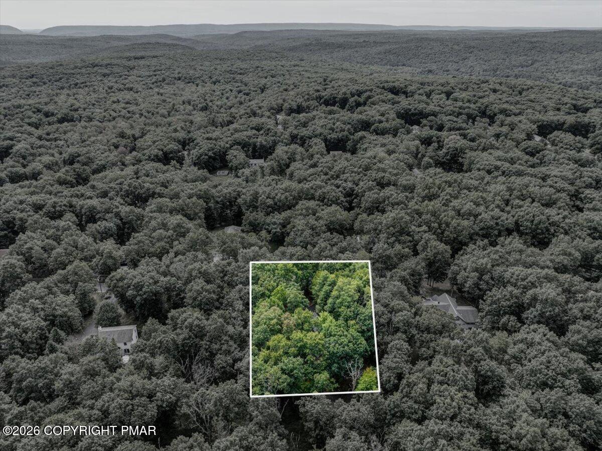 197 Timber Hill Road Property Photo 49