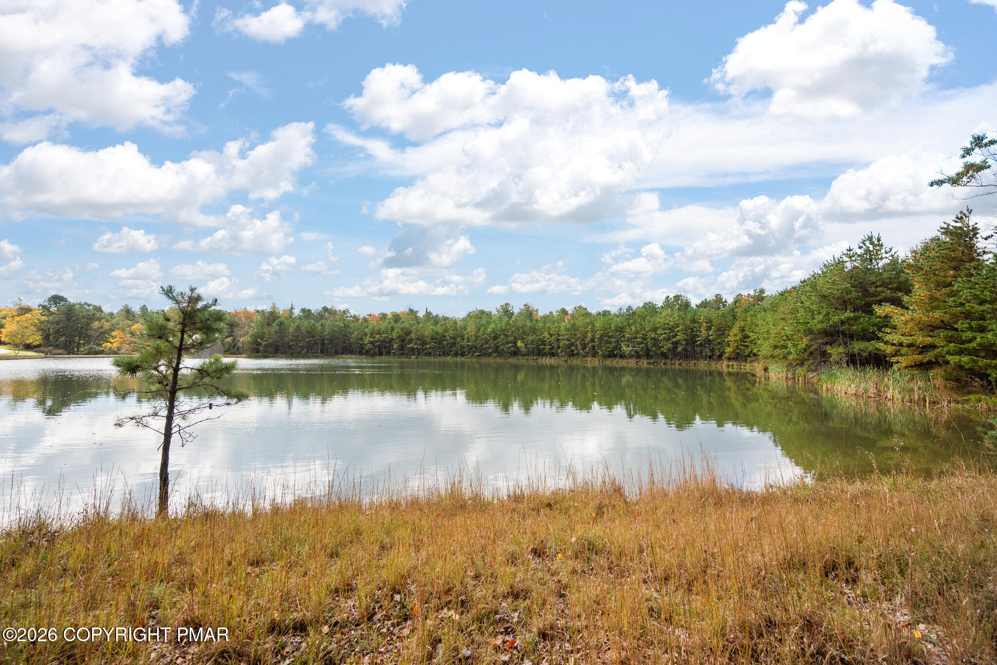 217 Sunset Pond Lane Property Photo 76