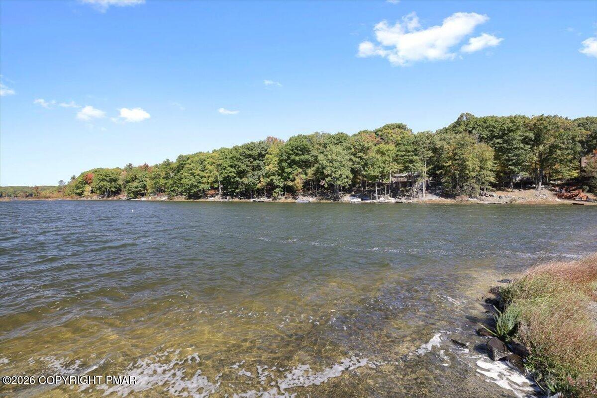 86 Windsor Road Property Photo 28