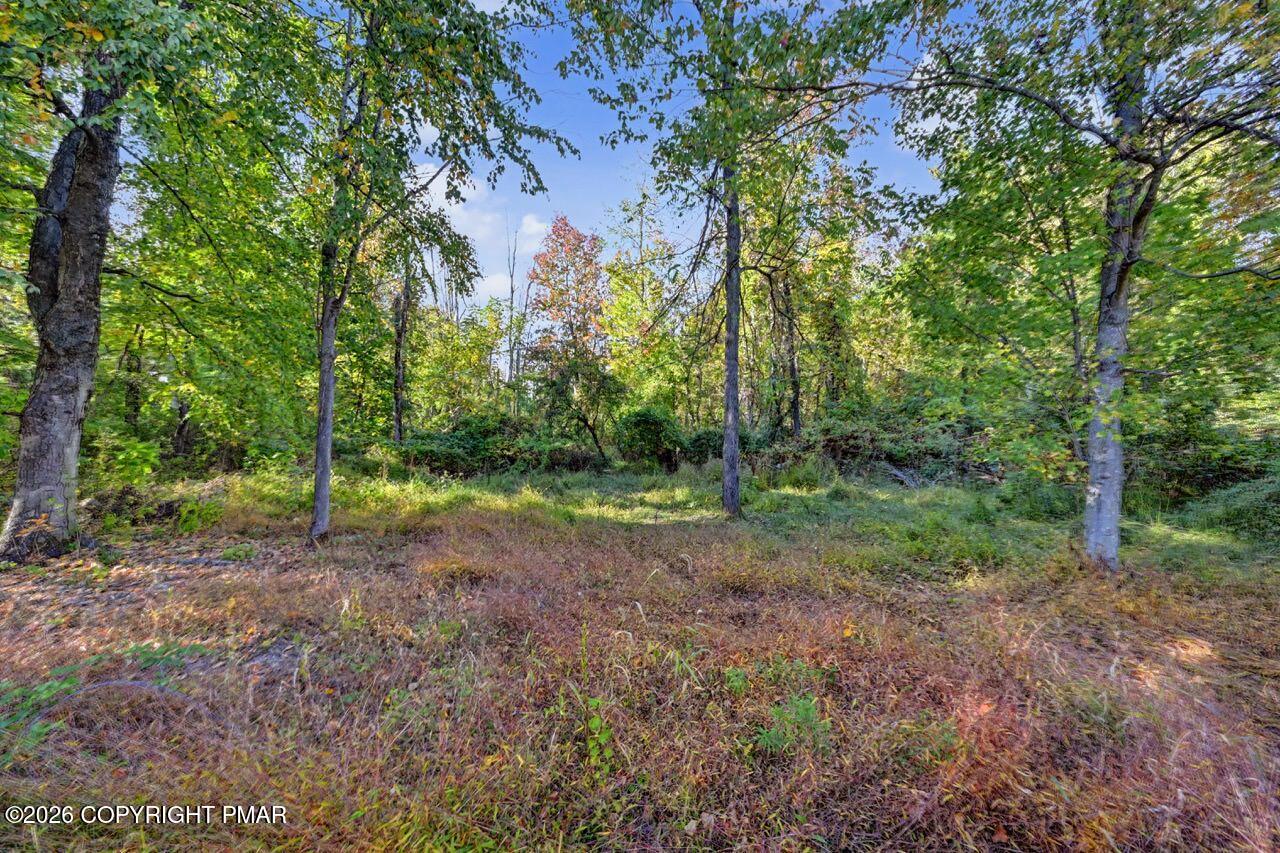 2367 Route 209 Property Photo 79
