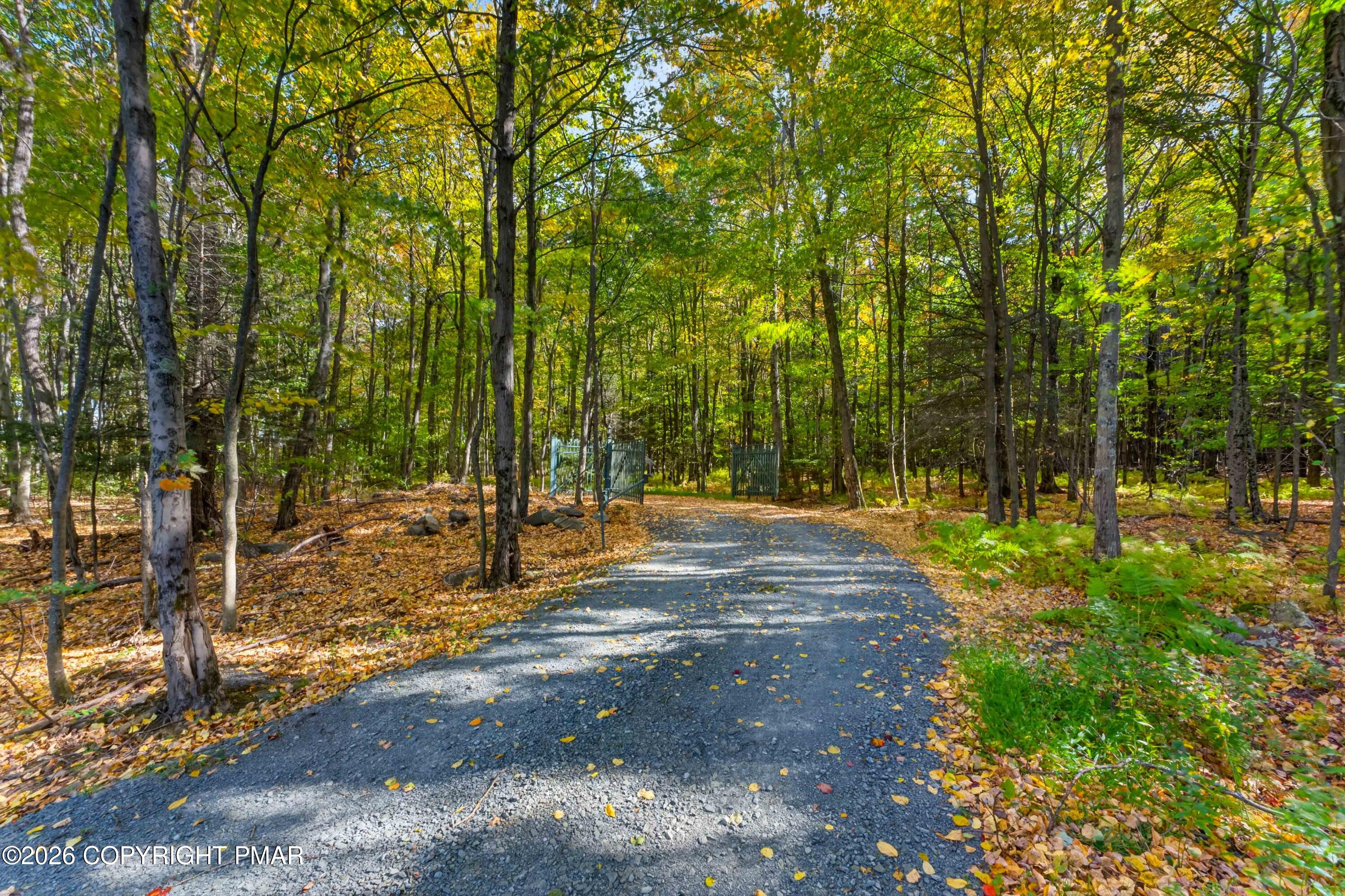 163b Hilltop Road Property Photo 60