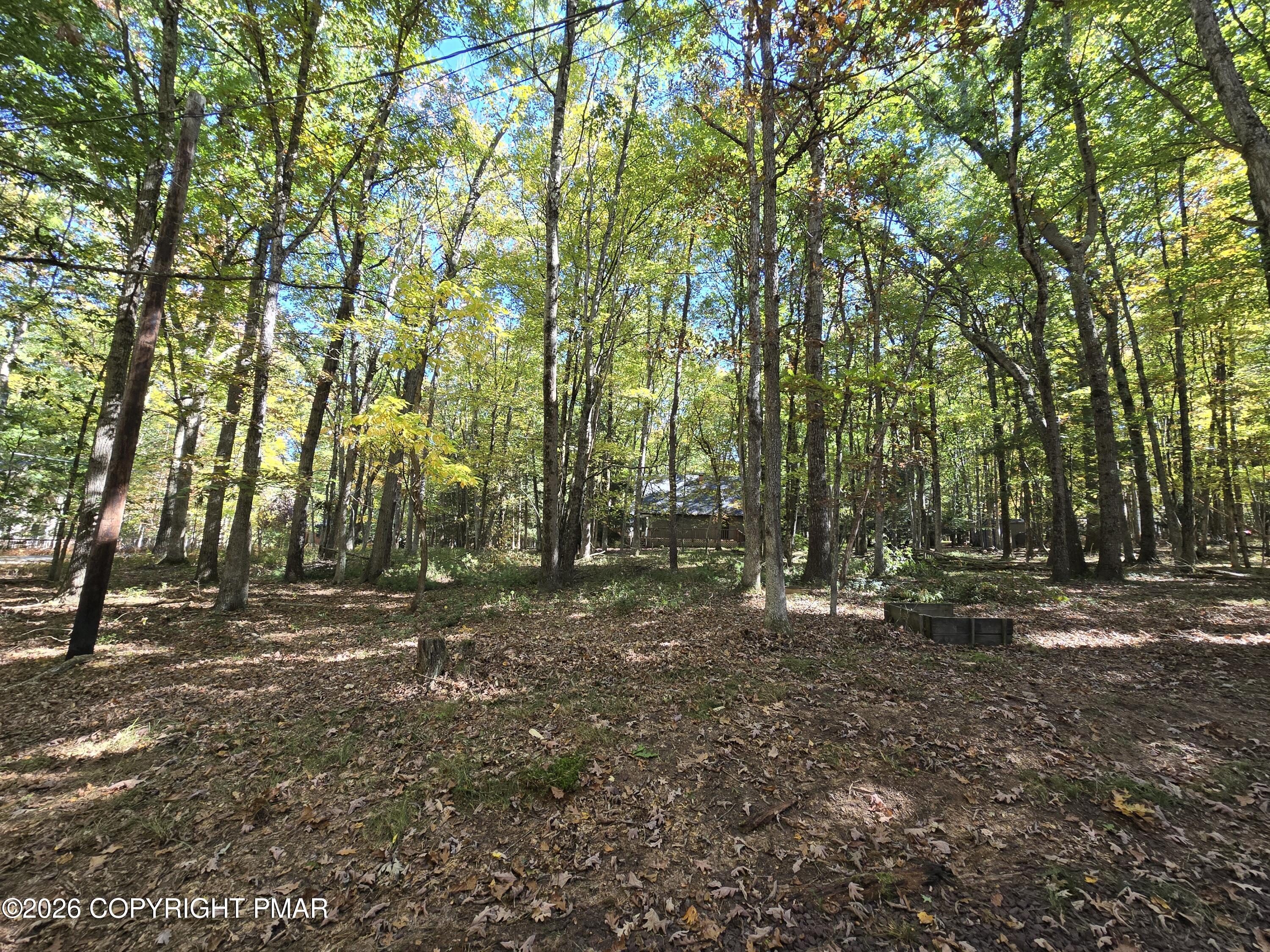 128 Kipling Lane Property Photo 32