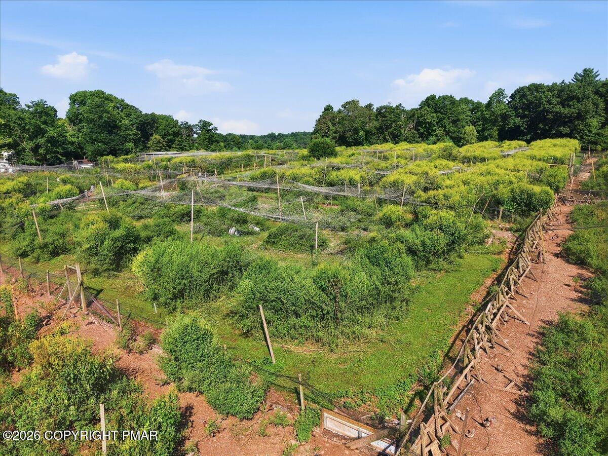 1103 Cherry Lane Road Property Photo 3