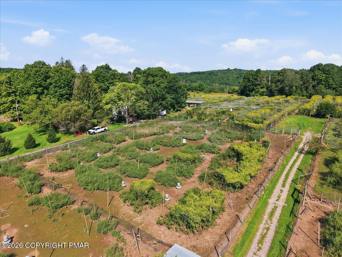 1103 Cherry Lane Road Property Photo 5