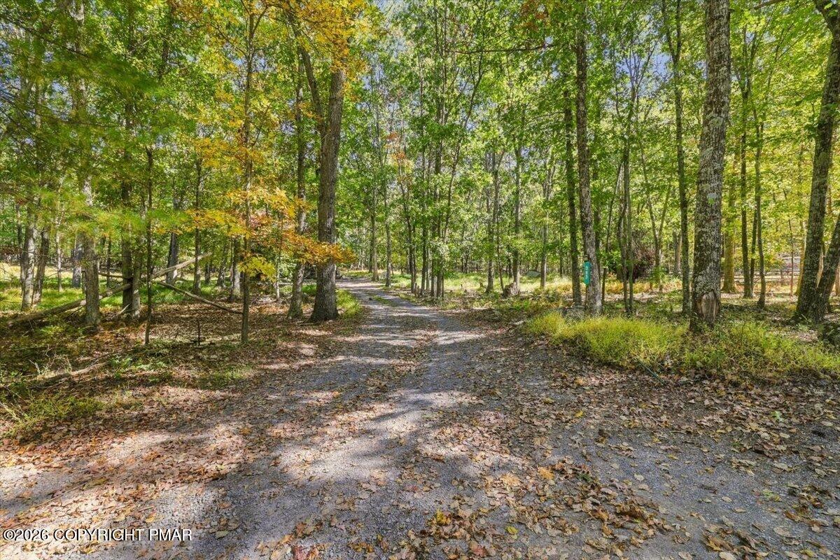 293 Canal Road Property Photo 41