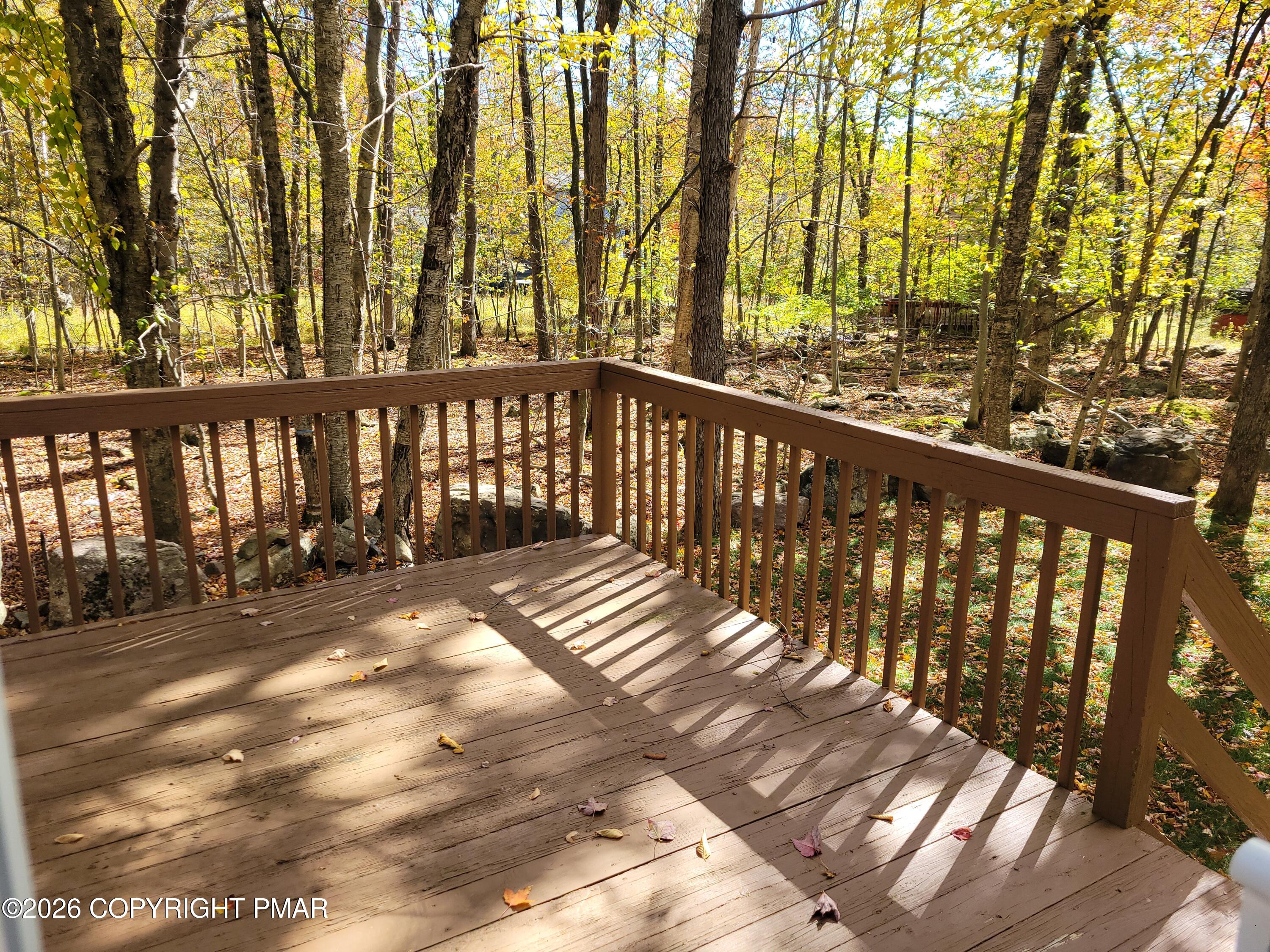 8446 Bear Trail Drive Property Photo 29