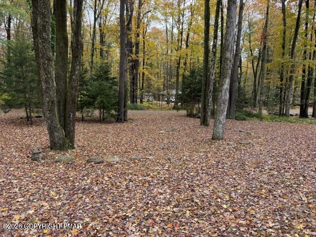 113 Cardinal Lane Property Photo 25