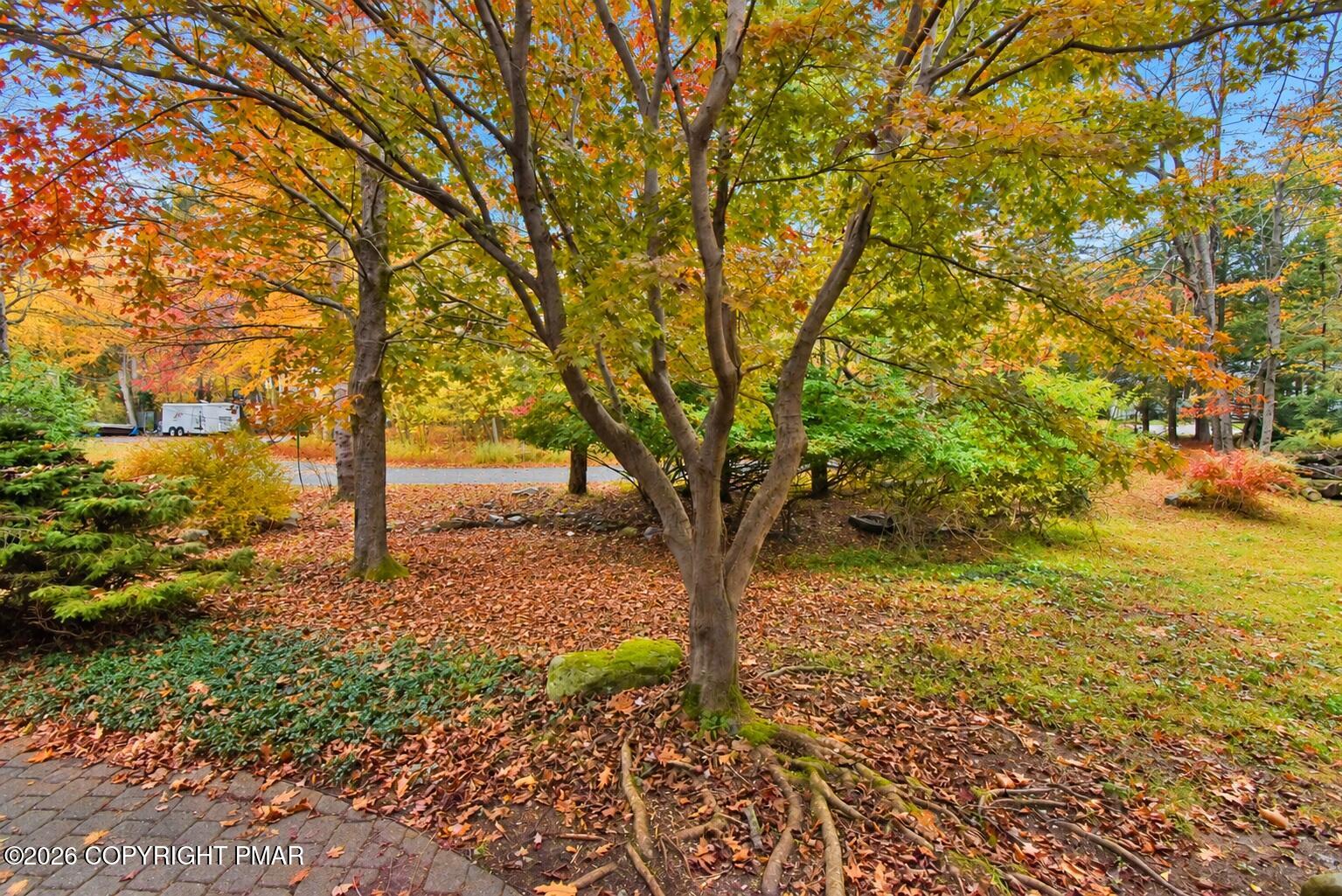218 Larch Oval Property Photo 54