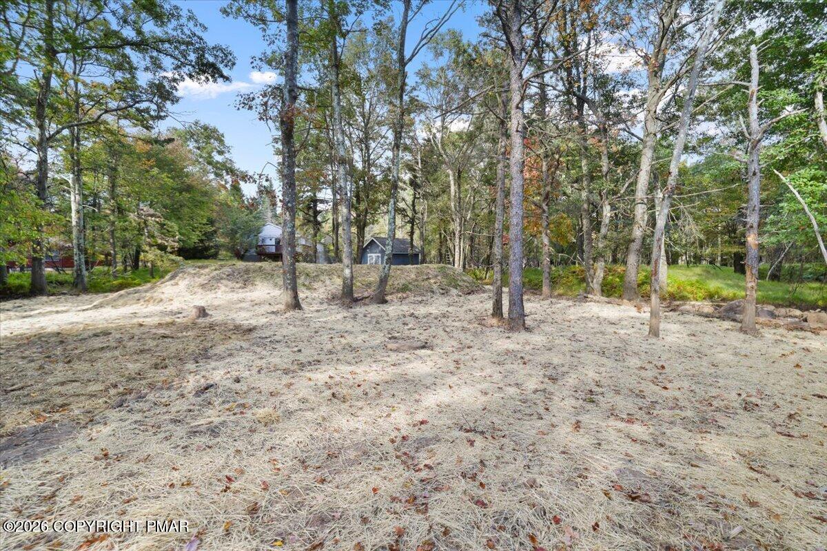 191 Petrarch Trail Property Photo 28