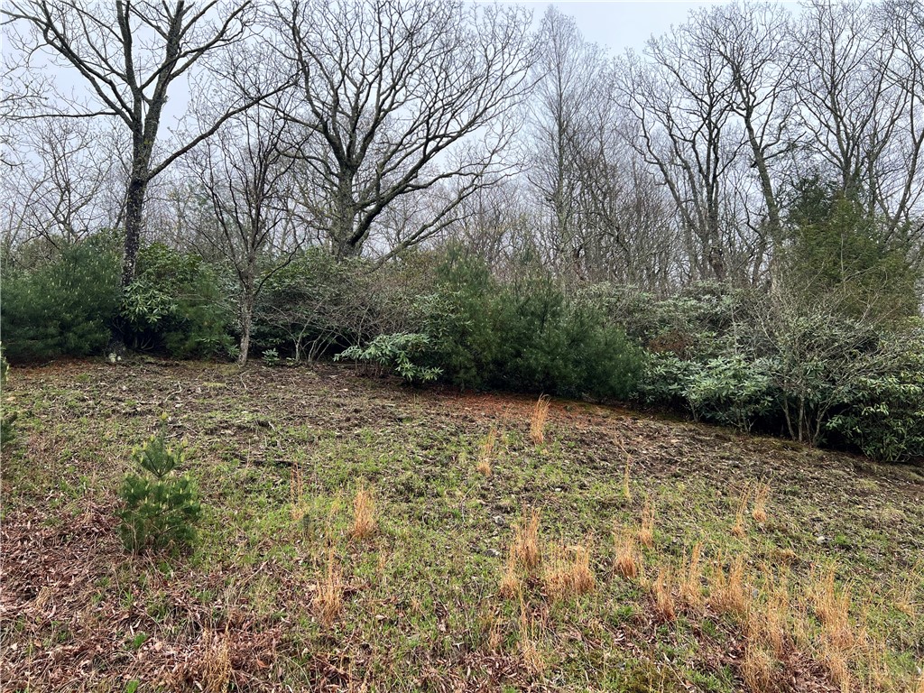 Lot 12 Cielo Road Property Photo 2